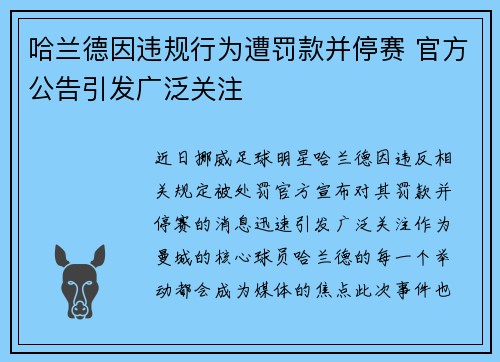 哈兰德因违规行为遭罚款并停赛 官方公告引发广泛关注